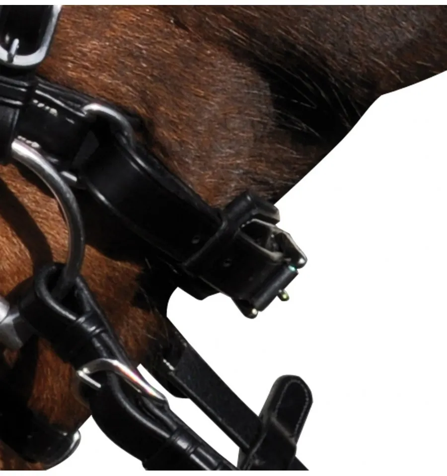 Bridon Pull Back Boston - Filet Equitation