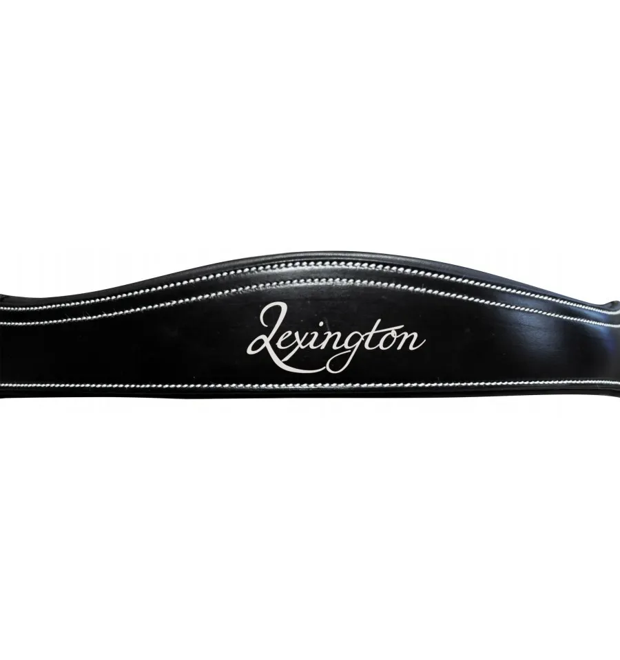 Bridon Pull Back Boston - Filet Equitation