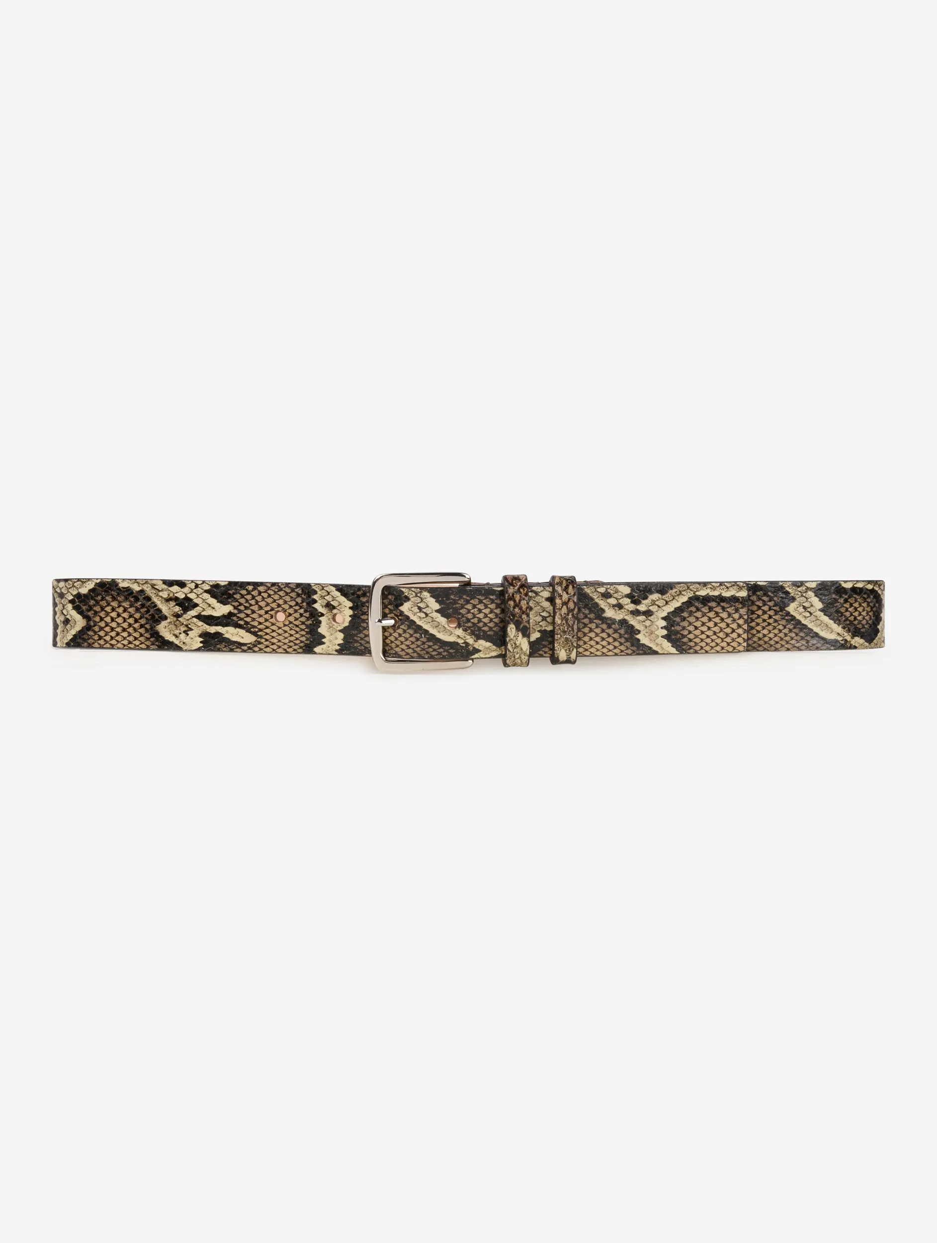 Ceinture moyenne en reptile naturel