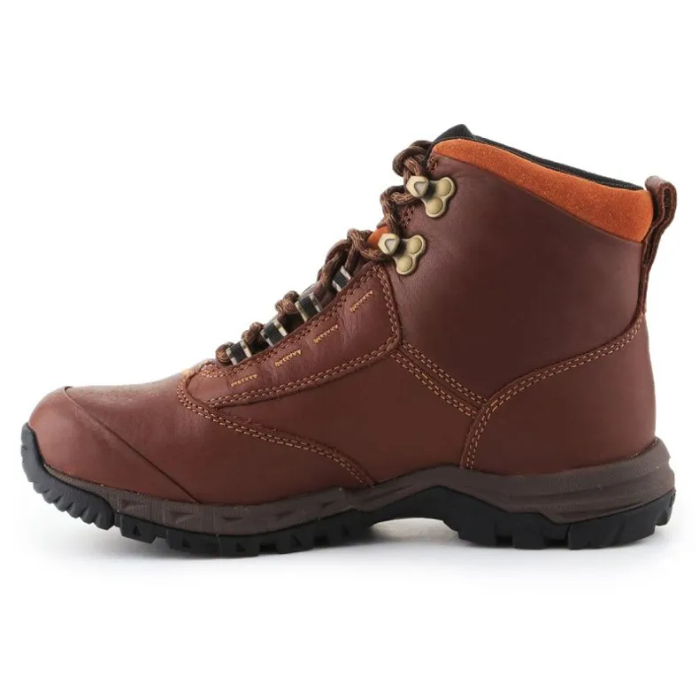 Chaussures Ariat Berwick Gtx W 10016298 brun
