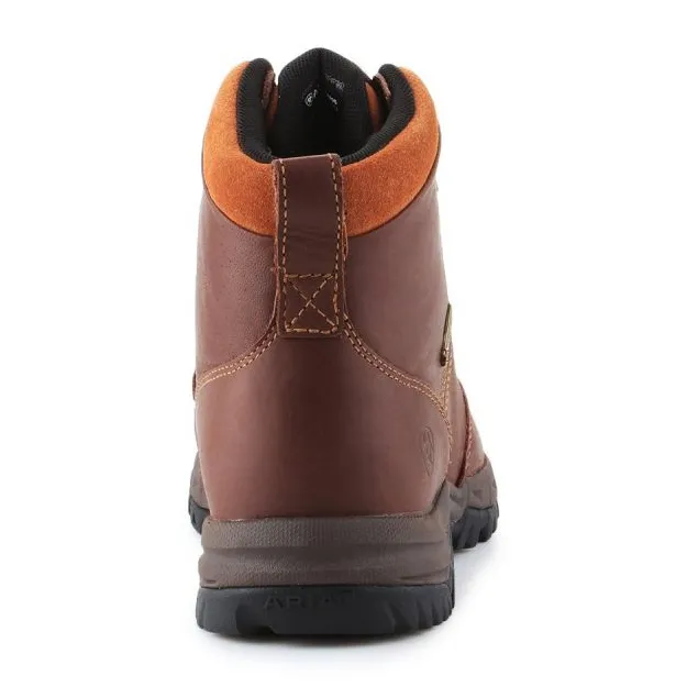 Chaussures Ariat Berwick Gtx W 10016298 brun