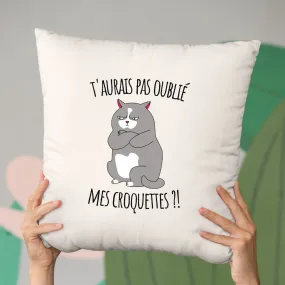 Coussin T'aurais pas oublié mes croquettes ?