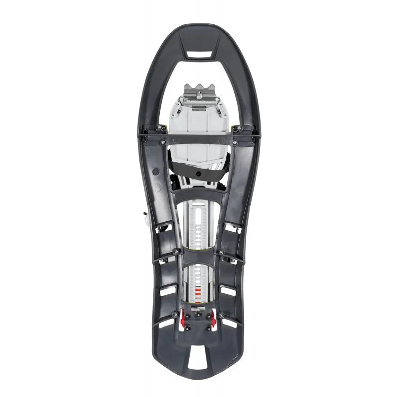 Ferrino Pinter Castor Special - Raquettes à neige | Hardloop
