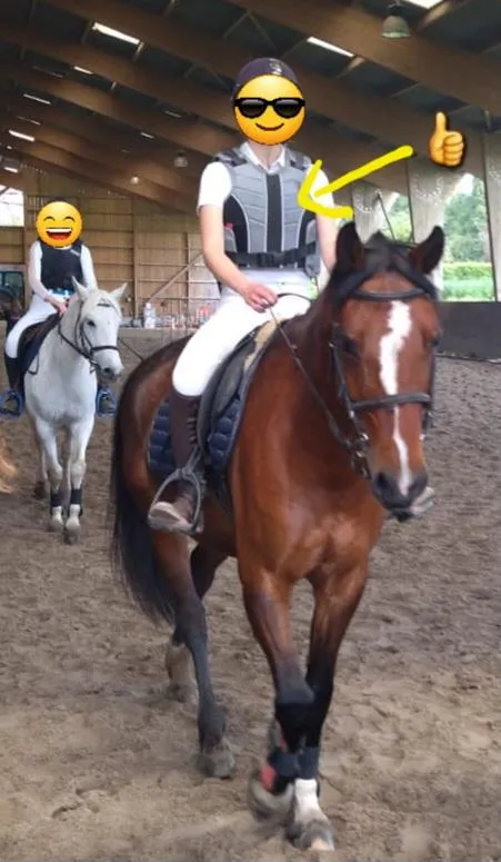 Gilet de protection equitheme