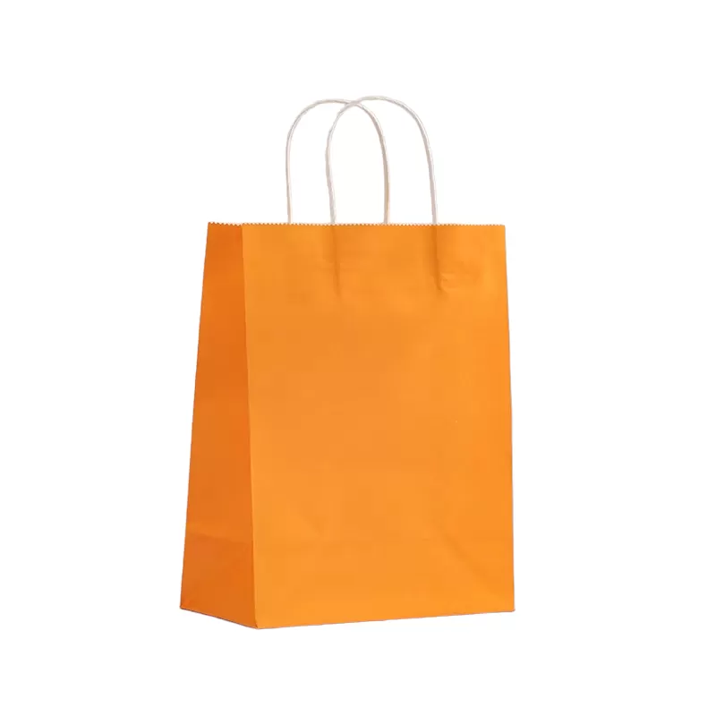 LOT DE 24 - Sacs kraft boutique (couleurs au choix)T22*11*27