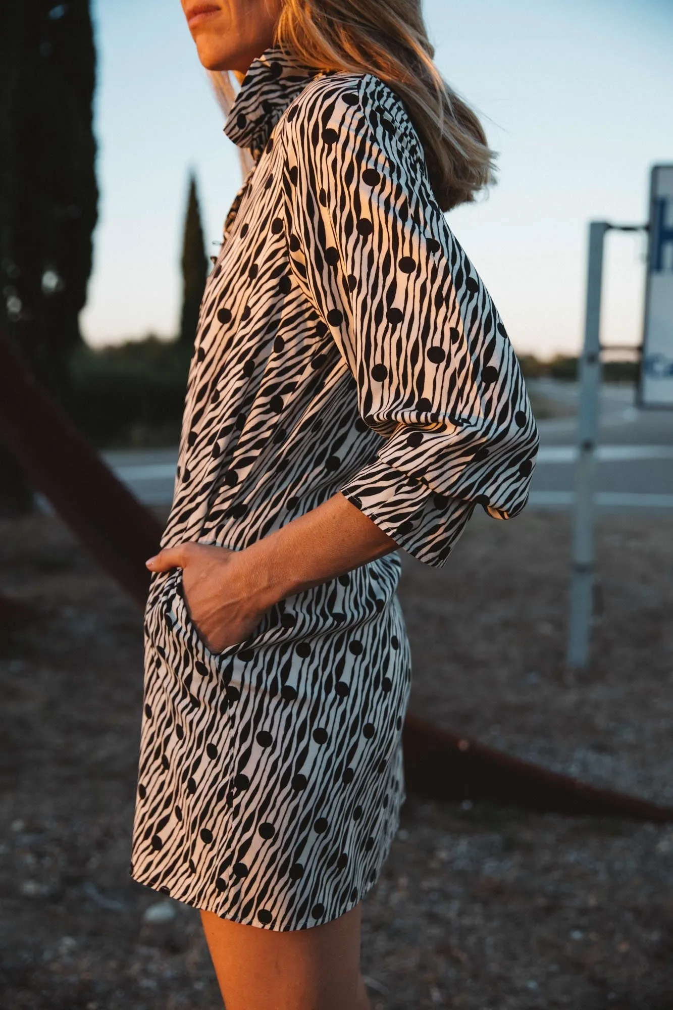 Robe Joyce imprimé zèbre à pois