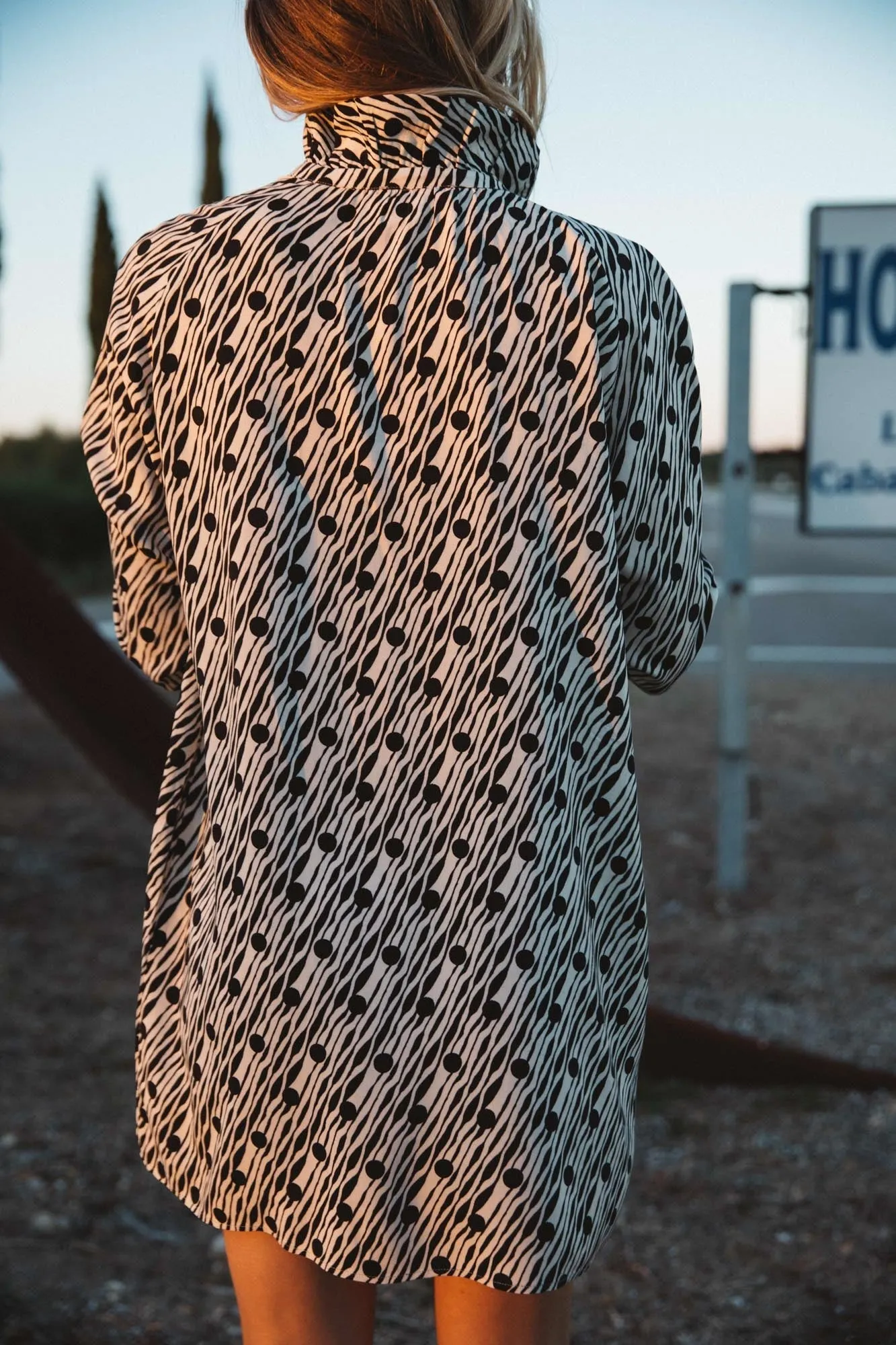 Robe Joyce imprimé zèbre à pois