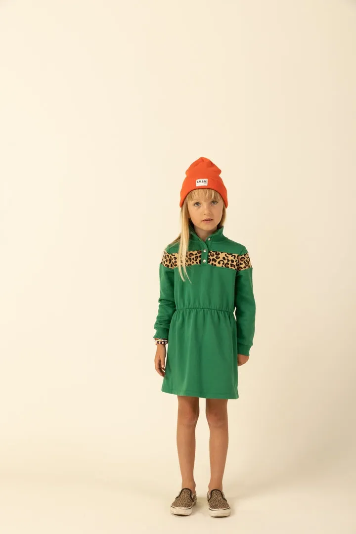 Robe Namur vert et léopard