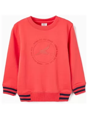 Sweat en coton avec motif en relief pour garçon  FLYING BIRDS - Rose