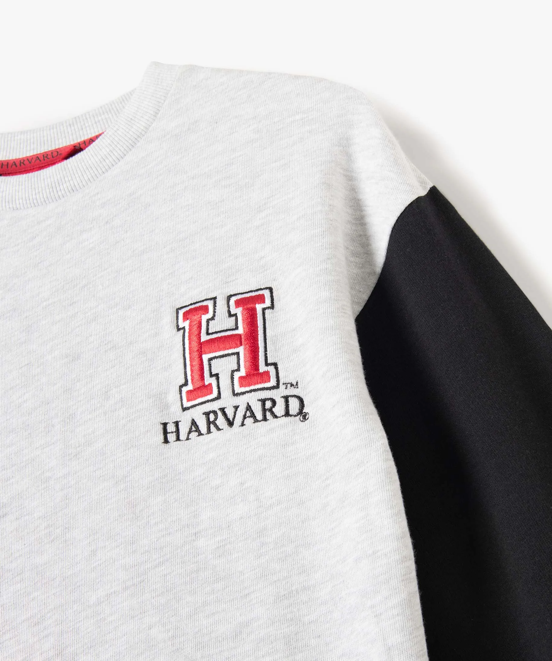 Sweat fille avec manches contrastantes - Harvard gris clair