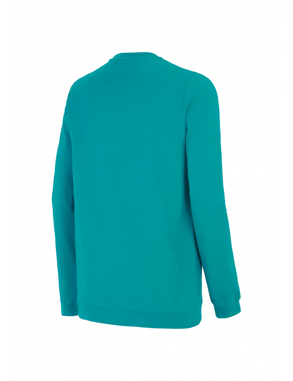 Sweat PICTURE Bellow Crew - Lagoon Green