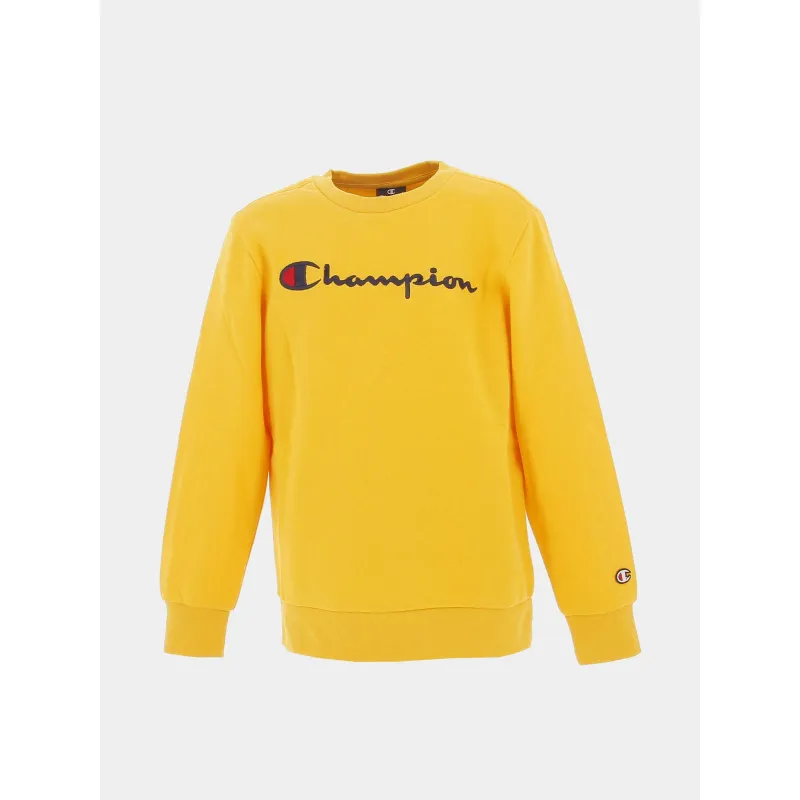 Sweat à capuche logo noir garçon - Umbro | wimod