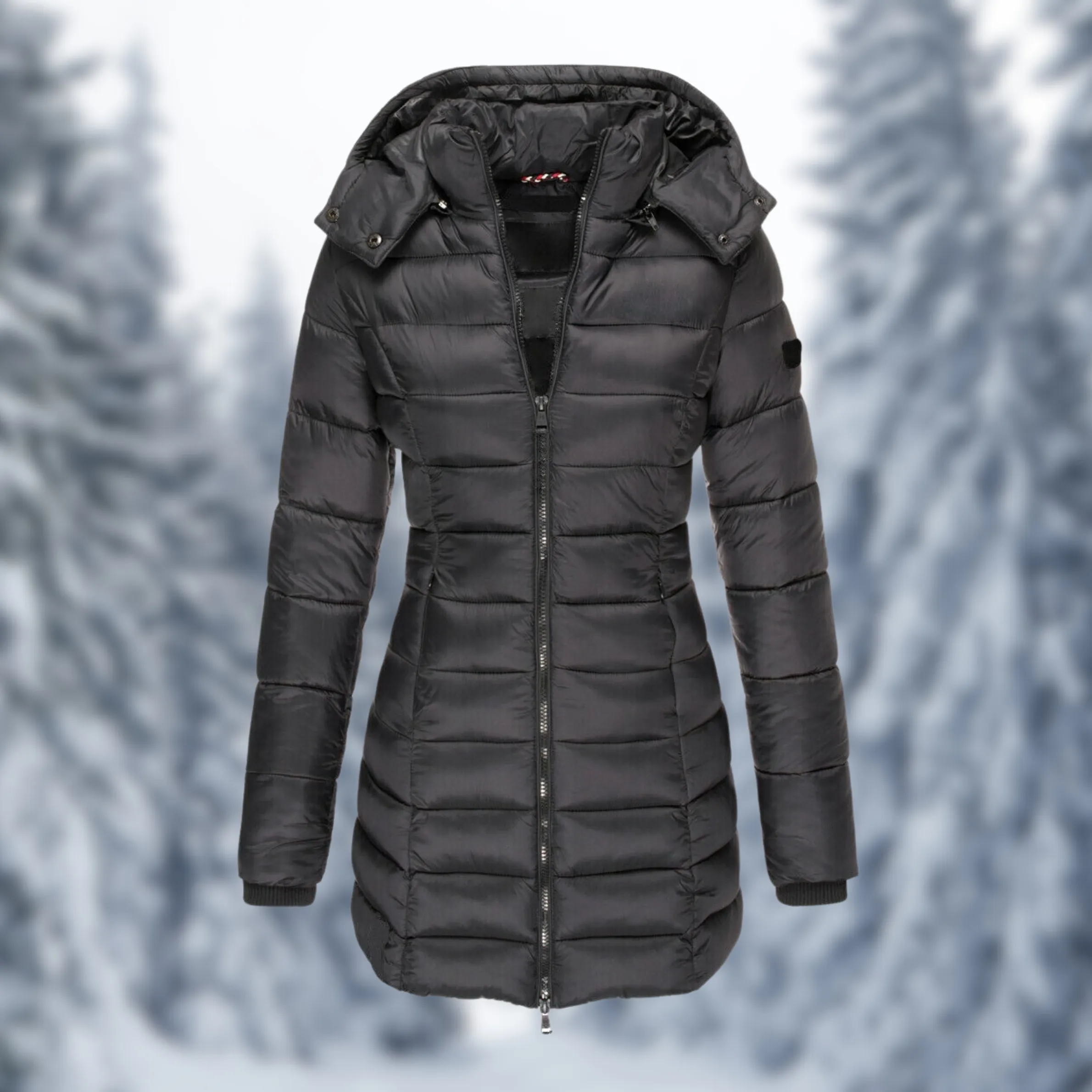 Veste d'hiver
