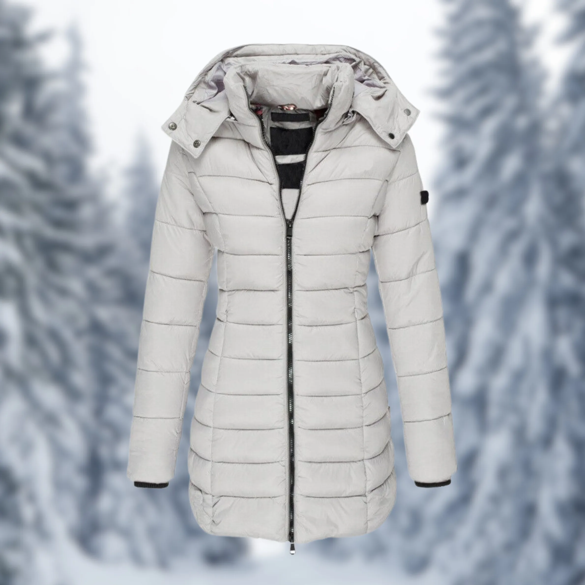 Veste d'hiver